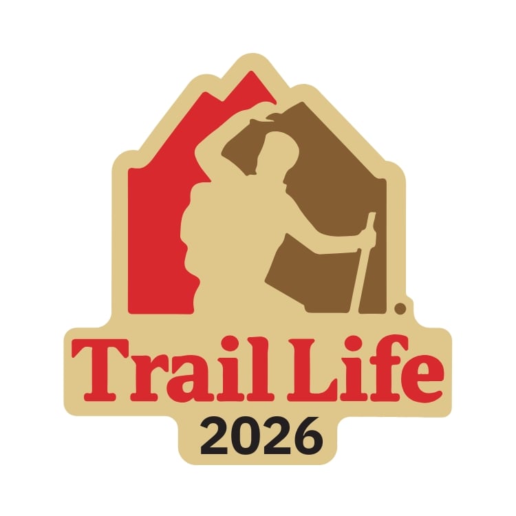 Campaign Ribbon Pins