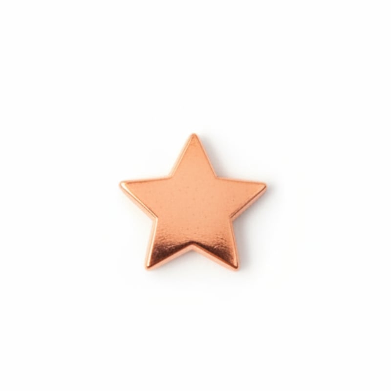 Woodlands Trail Fox Sylvan Star Pack of 10 - Bronze