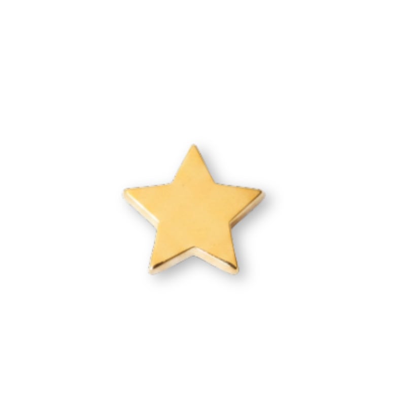 Woodlands Trail Mountain Lion Sylvan Star Pack of 10 - Gold
