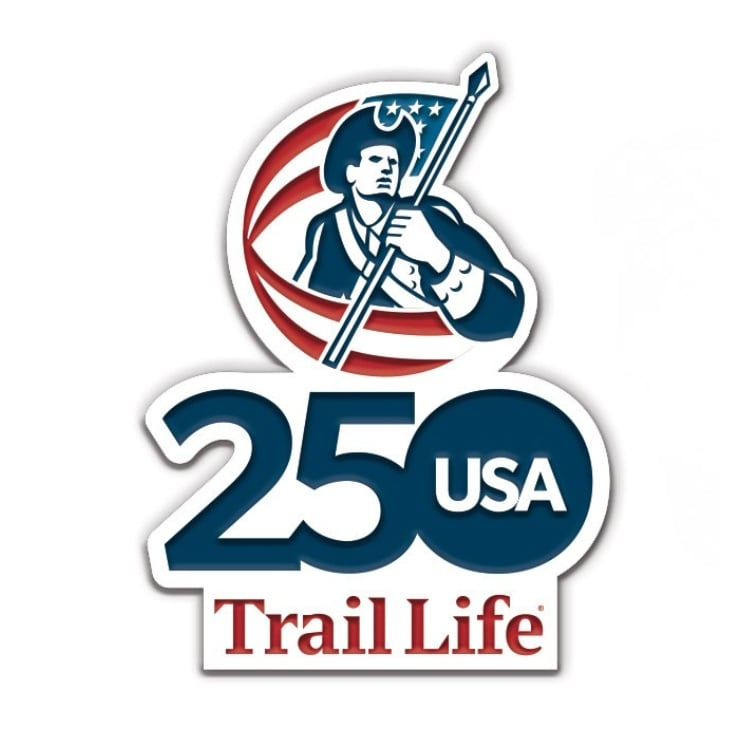 USA 250 Pin