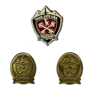 Freedom Award Pins