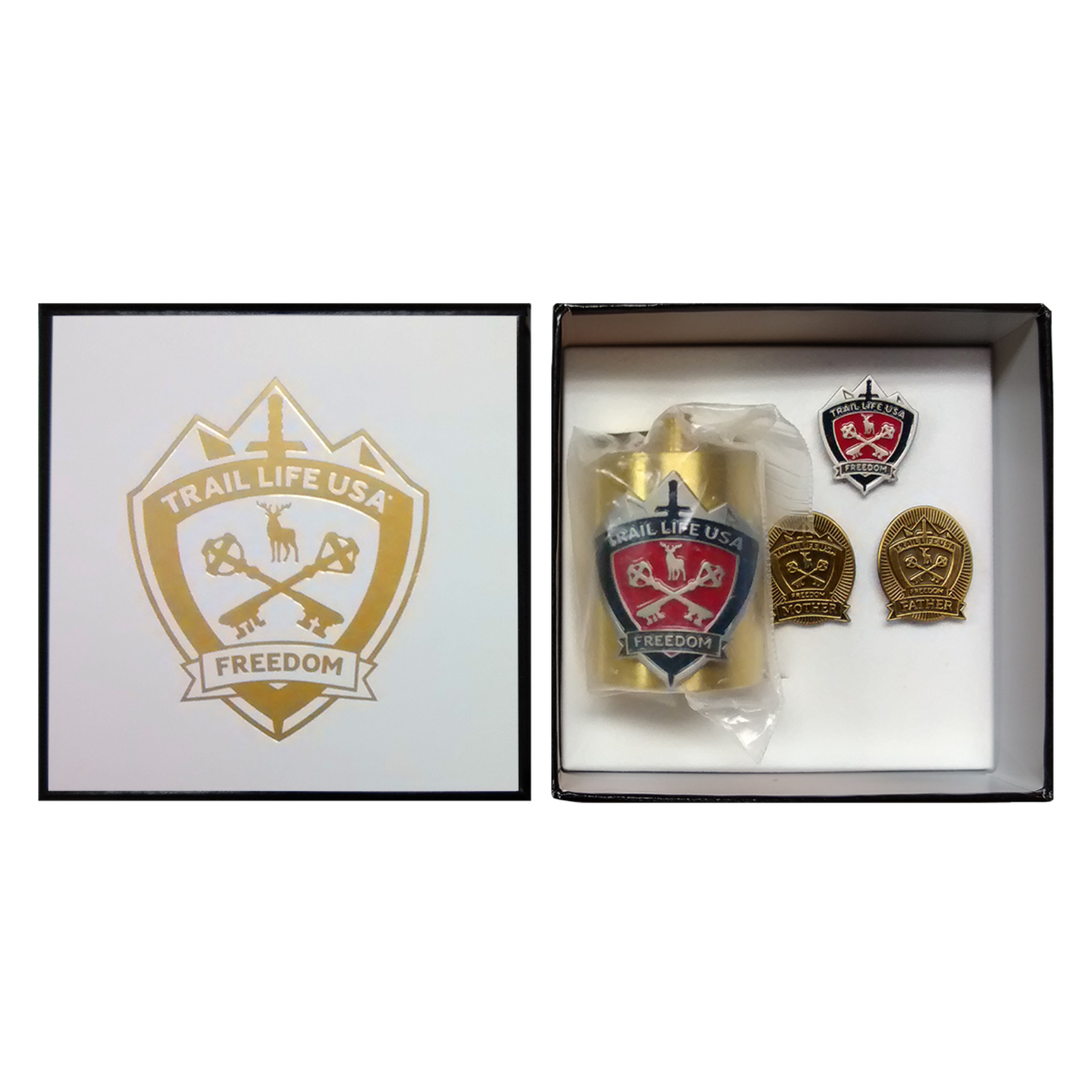 pins pin's flag national badge backpack hat shield world scotland lion 